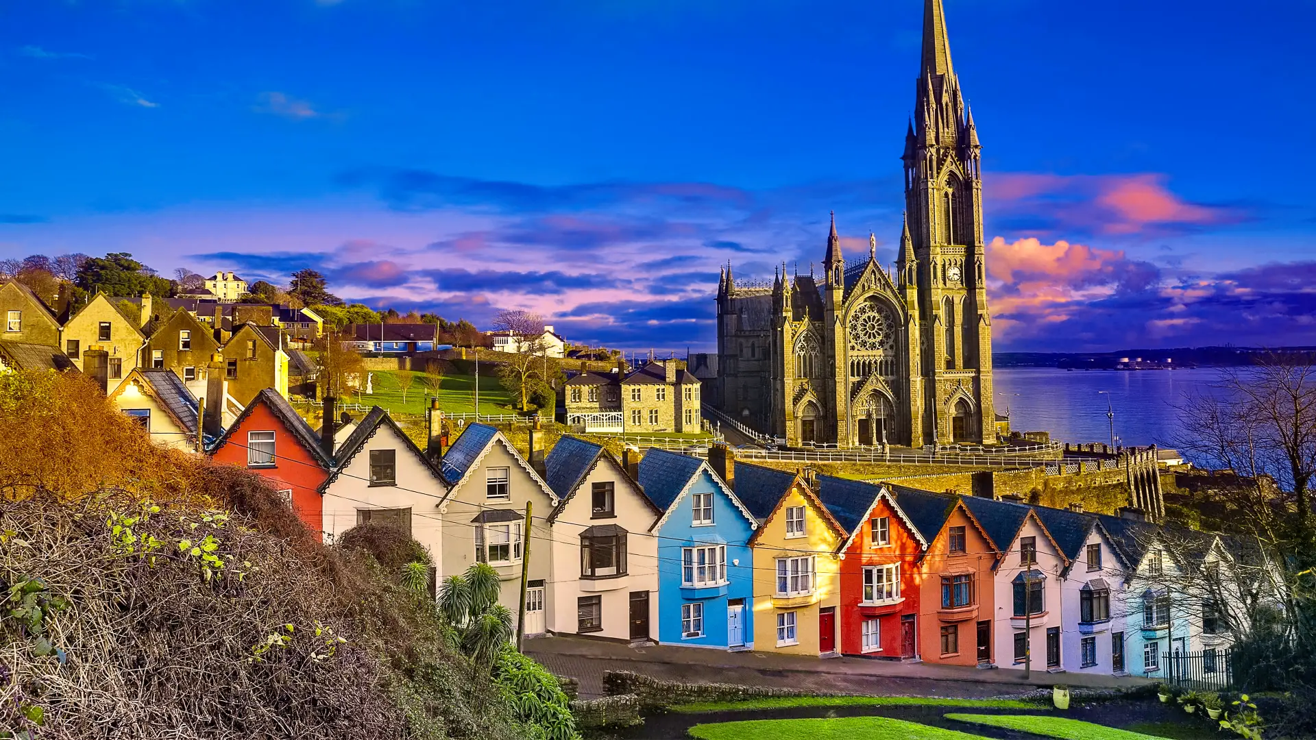 Colorful houses and St Colman's Cathedral in Cobh, County Cork, Ireland at dusk